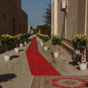 wedding_floral_1087